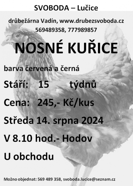 Prodej kuřic.png
